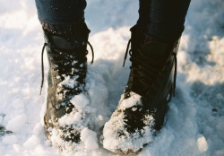 icy-winterland: ❅ In my winter wonderland ❅ 