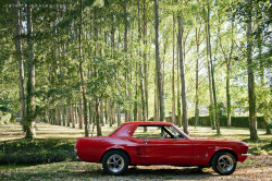 ford-mustang-generation:  1967 Ford Mustang [Explored] by BenjiAuto