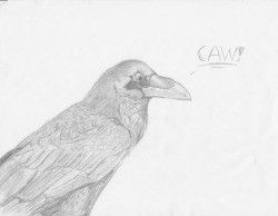 Oh, oh that’s my jam. Oh that’s my jam!… CAW?