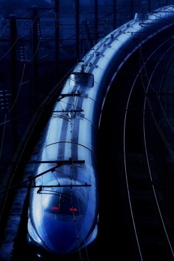 tataraseitetsu:  sashastergiou:  shinkansen,japan,train  shinodddddがak47からリブログしました