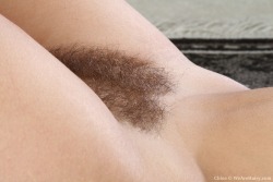 hairypussypics.tumblr.com/post/32947910435/