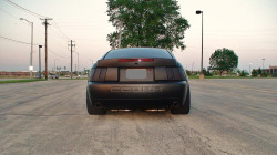 Ford Mustangs