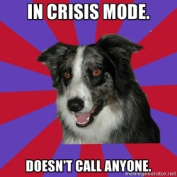 onawallofstars:  psychoticdepressionbordercollie:  In crisis