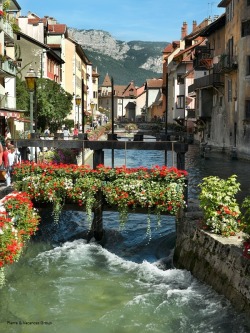 allthingseurope:  Annecy, France photo via 