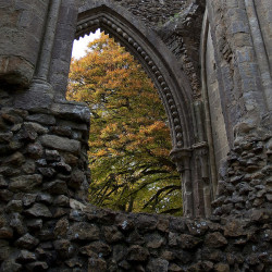 archaicwonder:  Glastonbury Abbey in Autumn  