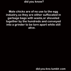 did-you-kno:  Source