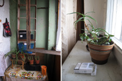 m-i-s-o:  plants ; the house i grew up in / kharkov, ukraine :