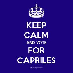 gabeweb:  Keep Calm and Vote for Capriles 