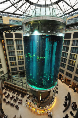 escapekit:  Radisson Blu Hotel, Berlin At first glance this may