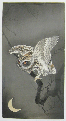 art-and-fury:  Owl and Moon - Ohara Koson 