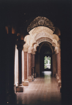 novemberwrists:  Palácio de Monserrate (by the silverplated
