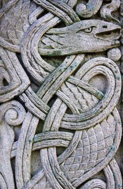 detail-detail-detail:  Celtic Knot Serpent 