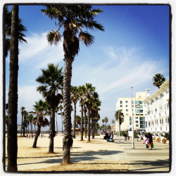 heather-in-heels:  It’s a gorgeous afternoon in Santa Monica