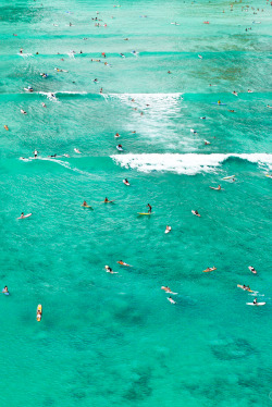 kevvn-deactivated20141201:  Waikiki Surf Scene 