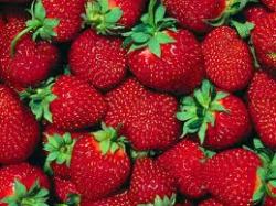 illripyourpetalsoff:  sea-green-finnick:  Strawberry Desserts