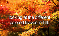 This is one of many reasons why I love fall :)