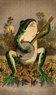 objectifiedimagez:  Frog and Banjo 