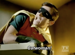 catseatyourfacespoopily:  Wow, that was one sick burn Robin.