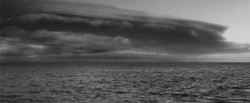 GIF Movie