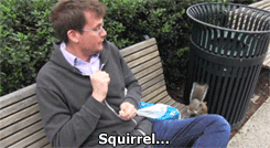 themadworld:  John Green getting attacked by a squirrel (x) 