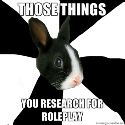 writingjustforgiggles:  jayysonshadowchase:  fyeahroleplayingrabbit: