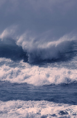 manolescent:  morning wave 