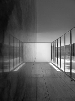 fiore-rosso:  Ludwig Mies Van der Rohe. 