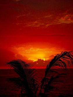 galixies:  Jamaican Sunset l By Lorie 