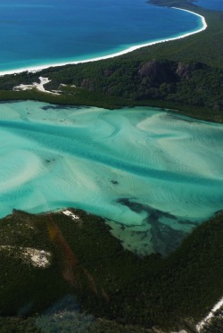 precum:  Whitehaven Beach, Whitsunday Beach 