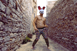 ROCCO - the Sicilian Hare ♥  AlexanderGuerra.com - 2012 *Follow