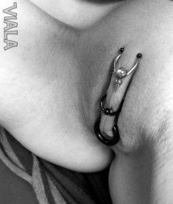 pussymodsgalorePhotoset showing various pussy piercings and adornment