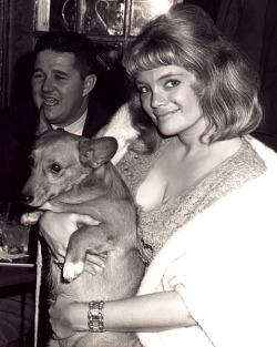 Vintage mid-60&rsquo;s candid photo captures Irma The Body (and one of her Corgi dogs) celebrating her own birthday, after an appearance at the &lsquo;BO-LAY Lounge&rsquo; in Boston, Massachusetts..