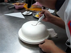 myungew-deactivated20210720:  Chinese Cake Decorating 