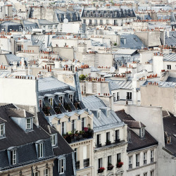 freepeople:  A Paris daydream.  