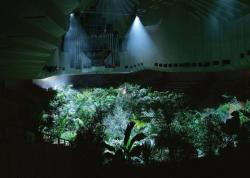  pierre huyghe - a forest of lines, 24h installation at sydney