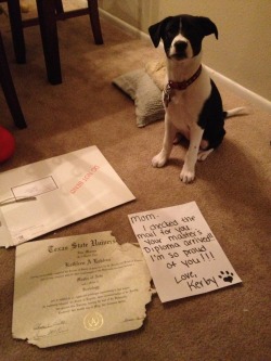 dogshaming:  Mom, I checked the mail for you. Your Master’s