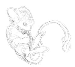 neekko:  grimchild:  Mew and Mewtwo sketches I did the other