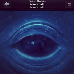 Frank Ocean’s new song 😍 #frankocean #bluewhale #eargasmic
