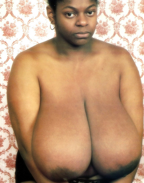 iluvbbws-deactivated20130210:  http://iluvbbws.tumblr.com/ - Only the biggest, only the best in huge tits! 