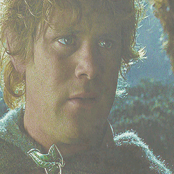 outquisitor:  LotR Meme - 6/9 Characters → Samwise Gamgee 