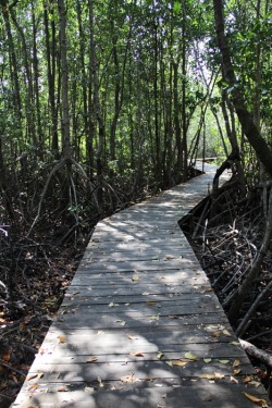 mangestisaysmatthew:  temple run in real life :/ -Karimunjawa,Indonesia