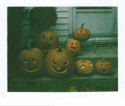 cyclops and buck-toofed pumpkins basking in the glory of Halloween.