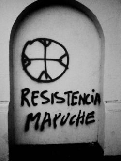 ankia-culiao:  naufragodelorden:  Marcha Mapuche 15/10 El viento