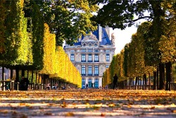 ysvoice:  | ♕ |  Autumn in Paris - Louvre from Tuileries Gardens 