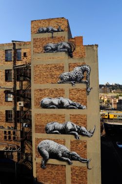 lohrien:  Street Art by Roa in Johannesburg (pics by Martha