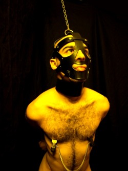 Nipples clamped hard with mask on.  For more gay nippleplay,