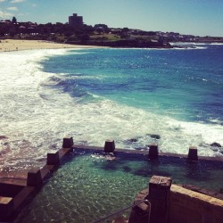 just-mucking-around:  coogee! 