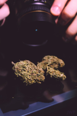 Sky High