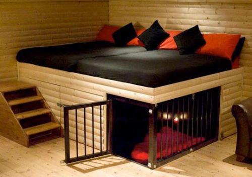 fishpun:  rolllikeabuffalowoops:  borntotwerk:  submissiveslittlesecret:  This is the cutest little thing!  i would make my friends sleep in the little cage thing  thats where the peasants sleep.  oh my god i didnâ€™t realize that cage was for a pet i