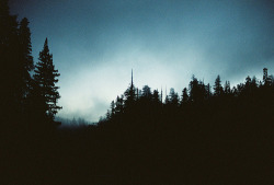 uncoverinq:  Twilight (by voetshy) 